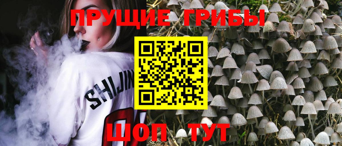 Шуя  Псилоцибиновые грибы MAGIC MUSHROOMS  Псилоцибиновые грибы Magic Shrooms  Вход с VPN 